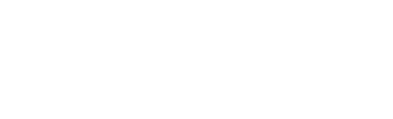 Nelson Studio